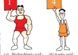 Read the following and answer any four questions from (i) to (v) Whenever a solution has a pH of less than 7, it will be an acidic solution. For example, a solution having a Ph of 4 will be acidic in nature (or it will be an acid). Please note that more acidic a solution is, the lower will be its pH. For example, a solution of pH 1 is much more acidic than another solution of pH 4. In other words, a solution of pH 1 will be a much more stronger acid than another acidhaving pH 4 (see the figure). The solutions having pH of 0, 1, 2 and 3 are usually considered to be strong acids. And the solutions having pH of 4, 5 and 6 are considered to be weak acid solutions. It is clear that the acidity of a substance is related to its pH. Strongly acidic substances have a very low pH. In fact, lower the pH, the stronger the acid.